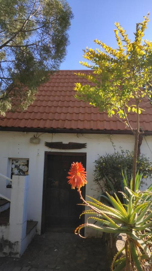 Atlantic Pearl Guest House Midrand Buitenkant foto